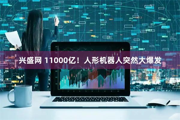 兴盛网 11000亿！人形机器人突然大爆发