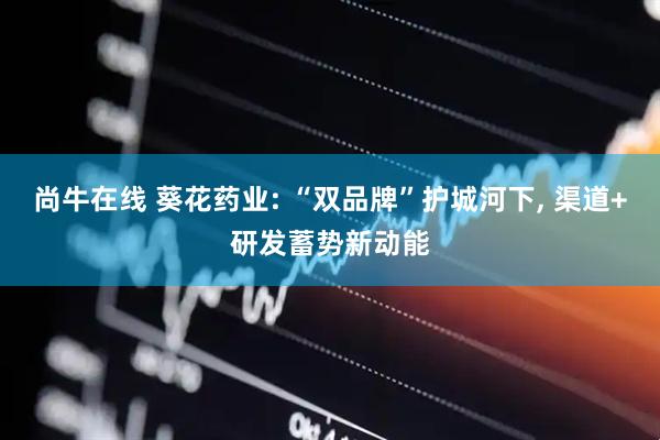 尚牛在线 葵花药业: “双品牌”护城河下, 渠道+研发蓄势新动能
