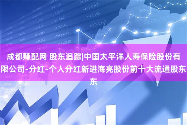 成都赚配网 股东追踪|中国太平洋人寿保险股份有限公司-分红-个人分红新进海亮股份前十大流通股东